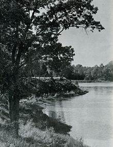 A scene along Pope's Creek, 200 feet from the birthplace of George Washington.