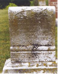 p22.jpg (15464 bytes)