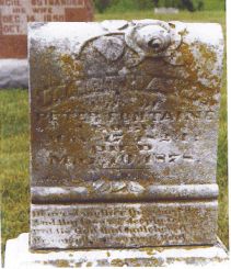p23.jpg (16816 bytes)
